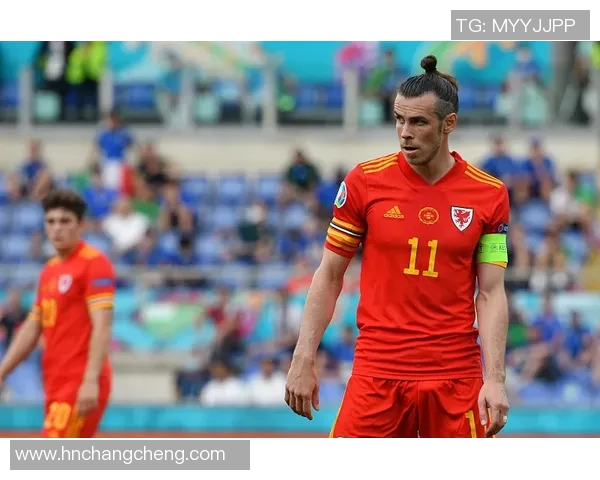 荷兰与北爱尔兰精彩对决视频回顾分析及赛后点评