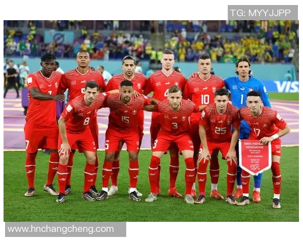 巴西对瑞士比赛分析及让球盘投注策略探讨