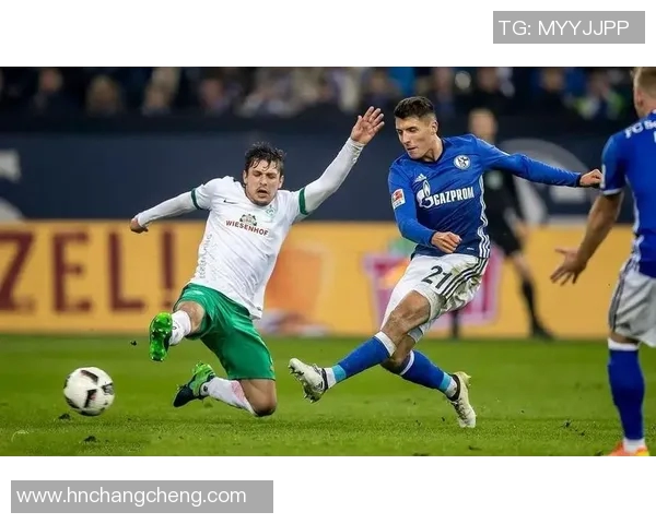 汉堡主场迎战沙尔克04争夺德甲积分榜关键战役