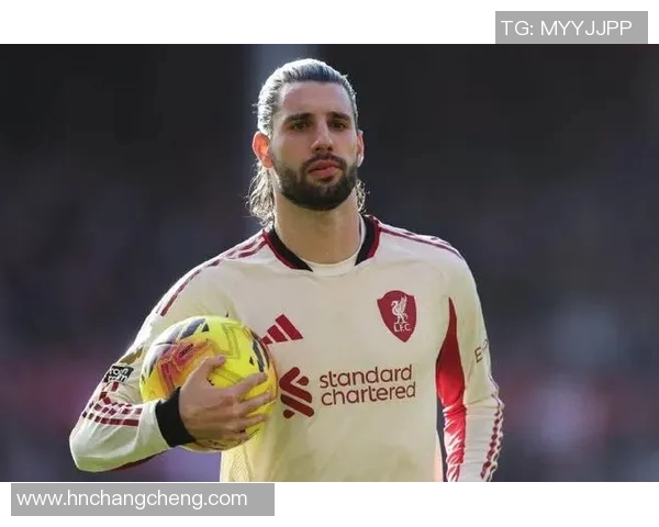 探索索博斯洛伊的历史与文化遗产之旅,揭开其神秘面纱的精彩故事