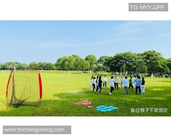 武汉飞盘队的蜕变之旅：从草根团队到竞技先锋的真实记录