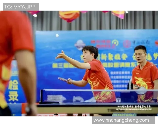 乒乓球专题：深入探讨杭州乒乓球队的团队协作与默契配合之道